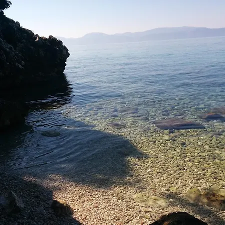 Seagull View