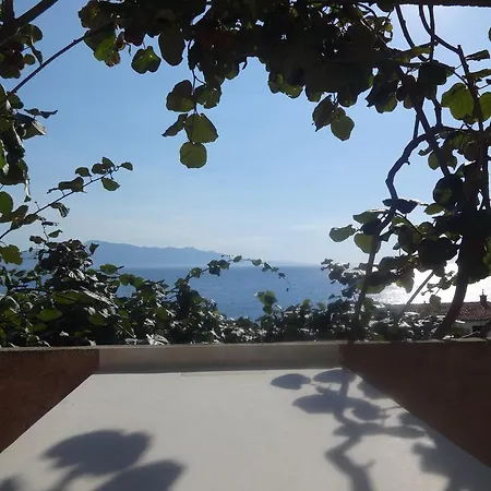 Seagull View * Podaca