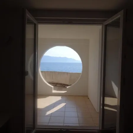 Seagull View *
