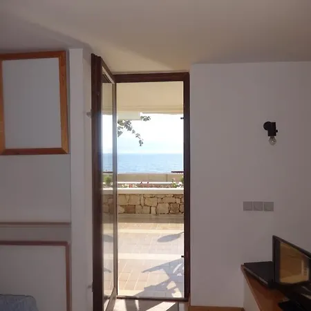 Seagull View